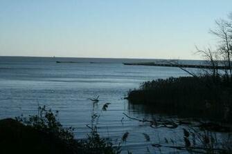 Chesapeake Bay Shoreline Wallpaper