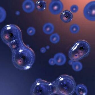 iPad Wallpaper 3d Nature Mini HD