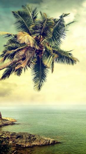 Remembering Those Summer Days Ios iPhone iPad Ipod
