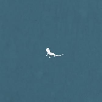 Some Visual Lizard iPad Wallpaper An Article Posted On The Official