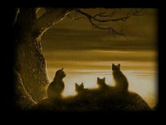 Warriors Cats Wallpaper Desktop Background
