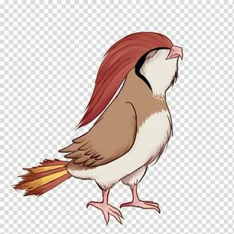 Pidgeotto Evolution Pok Mon Yellow Evolucija Mona Pokemon