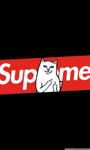 Supreme Cat 4k HD Desktop Wallpaper For Ultra Tv Dual