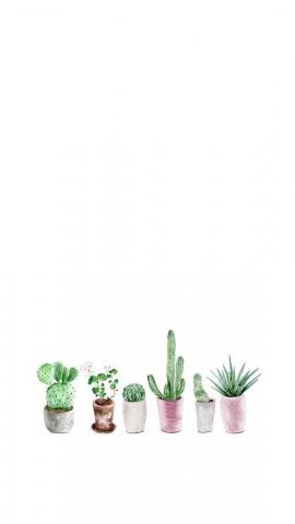 Background Wallpaper iPhone