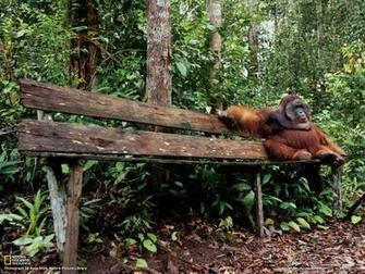 Photography Desktop Wallpaper National Geographic Magazine