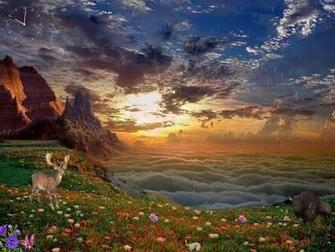 Wildlife Nature Best Full HD Wallpaper With Resolution