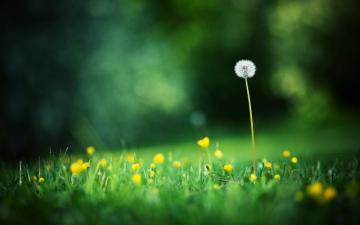 Featured Archives HD Background