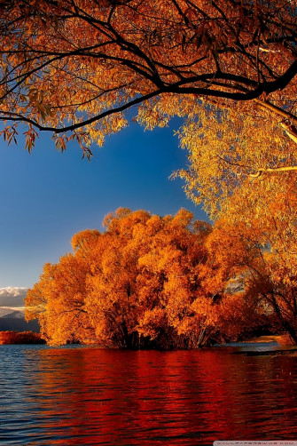 4k Fall Wallpaper