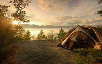 Tips To Keep Your Food Safe During Camping Triphobo Travel
