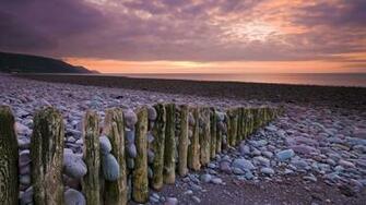 Purple Pebble Beach Wallpaper Green Background Pictures And Image