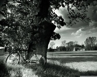 Bike Wallpaper HD Res