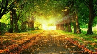 Wallpaper Windows Theme HD
