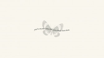 Taylor Swift Lyrics Wallpaper