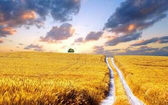 Ukraine Wallpaper Px W96t4c9 4usky