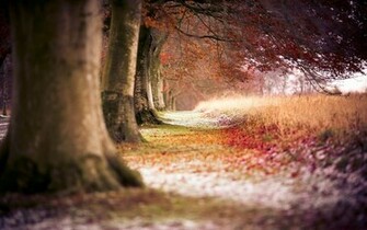 Awesome Nature Desktop Background And Make This Wallpaper For Your