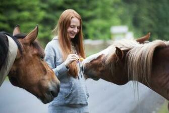 Equine Stock Photos Image Pictures HD Wallpaper