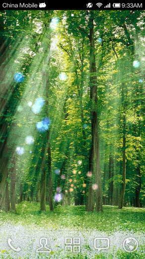 Forest Live Wallpaper HD Android Apps On Google Play