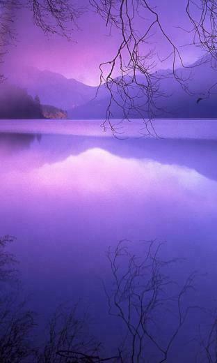 Windows Phone Wallpaper