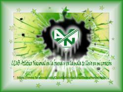 Atletico Nacional Wallpaper Football