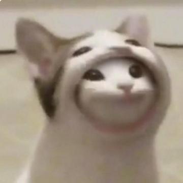 Popcat Photos