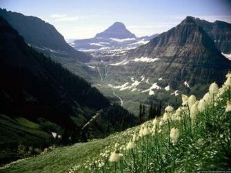 Glacier National Park Montana Mount Reynolds
