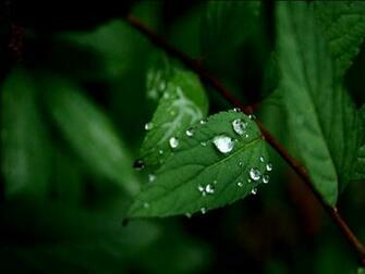 Share To Labels Nature Image
