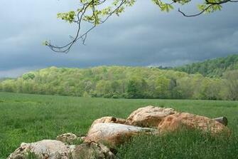 Category Nature HD Wallpaper Subcategory Spring