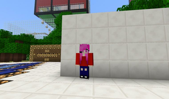 New Minecraft Skin By Djnekoamy