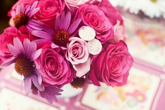 New Flower Wallpaper HD Share Online