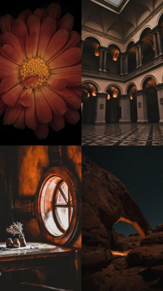 Dark Brown Aesthetic Wallpaper For iPhone Android
