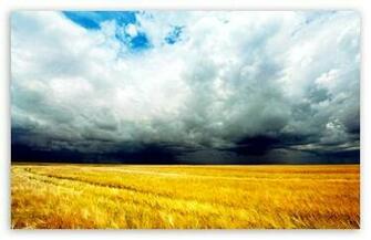 Storm Wallpaper