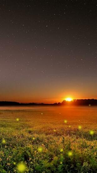 Wallpaper Phone Beautiful Samsung Galaxy J7