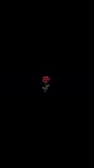Black Aesthetic Phone Wallpaper On