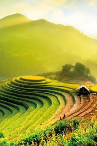 Vietnam