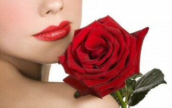 Roja Flower Wallpaper HD Lovely