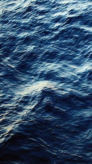 Deep Sea The iPhone Wallpaper