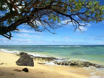 Hawaii Wallpaper Desktop