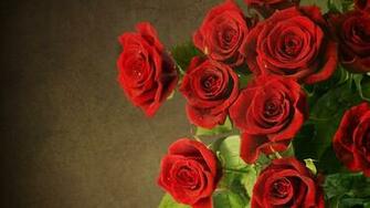 Rose Flower Wallpaper Image Flip