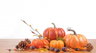 Cute Thanksgiving Background Wallpaper