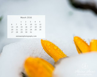March Wallpaper Calendar Alaina Ann Photography