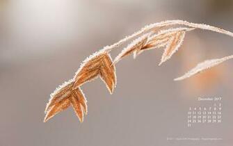 December Wallpaper David Griffin Photography