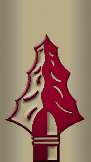 Jpeg Florida State Fsu Seminoles iPad Wallpaper