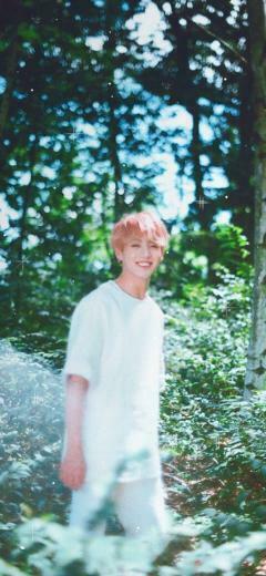 Bts Wallpaper