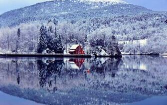 Winter Photography Wallpaper Background