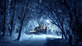 Winter Nature Wallpaper Top Background
