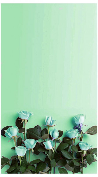 Mint Green Wallpaper Background For iPhone