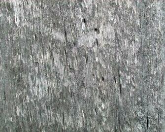 Description Weathered Barn Wood With Worm Holes Jpg