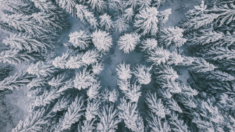 Wallpaper Id Winter Forest Aerial Spruce Snow 4k