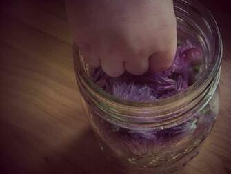 Chive Wallpaper Wednesday Blossom Vinegar