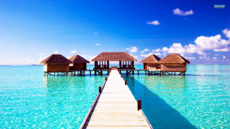 Summer Desktop Wallpaper Background HD Background